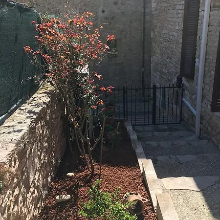 Aurora Delle Rose Assisi