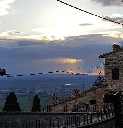 Aurora Delle Rose * Assise