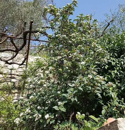 Aurora Delle Rose Appartement Assise