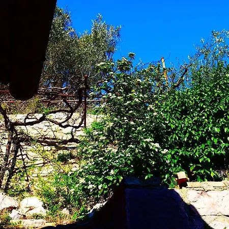 Aurora Delle Rose Appartement *