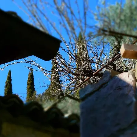 Aurora Delle Rose Apartman Assisi