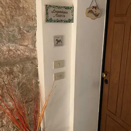 Aurora Delle Rose * Assisi