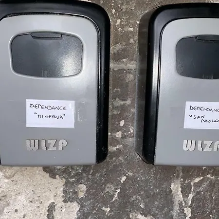 Aurora Delle Rose Assise