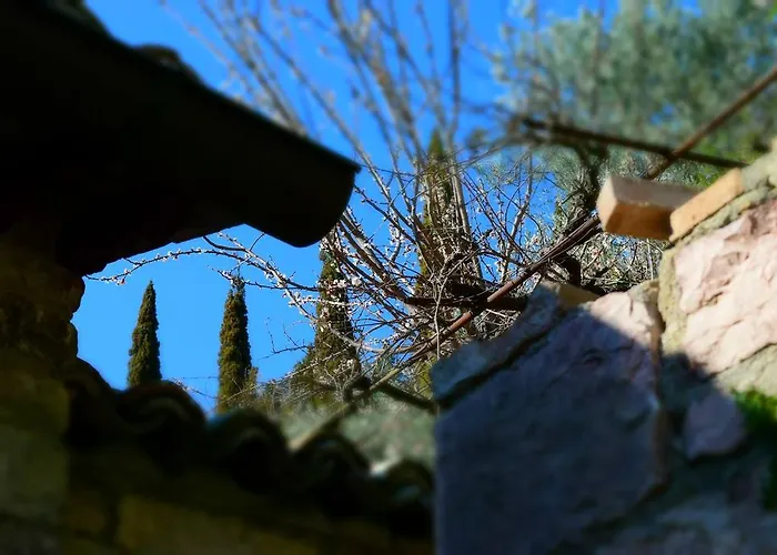 Aurora Delle Rose Appartamento Assisi