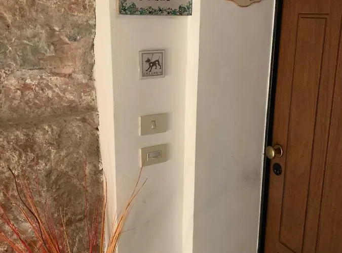 Aurora Delle Rose * Assisi